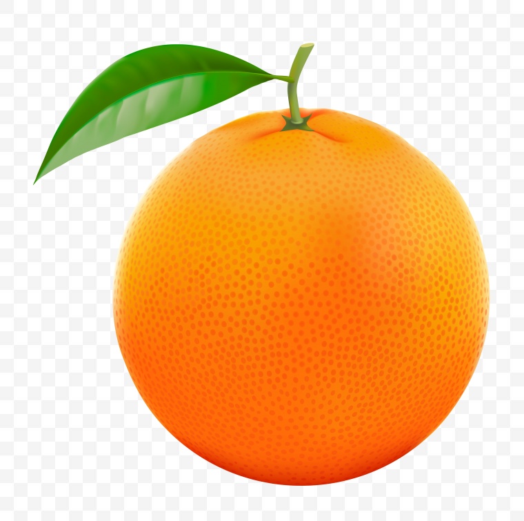 橙子 黄橙 香橙 甜橙 png 