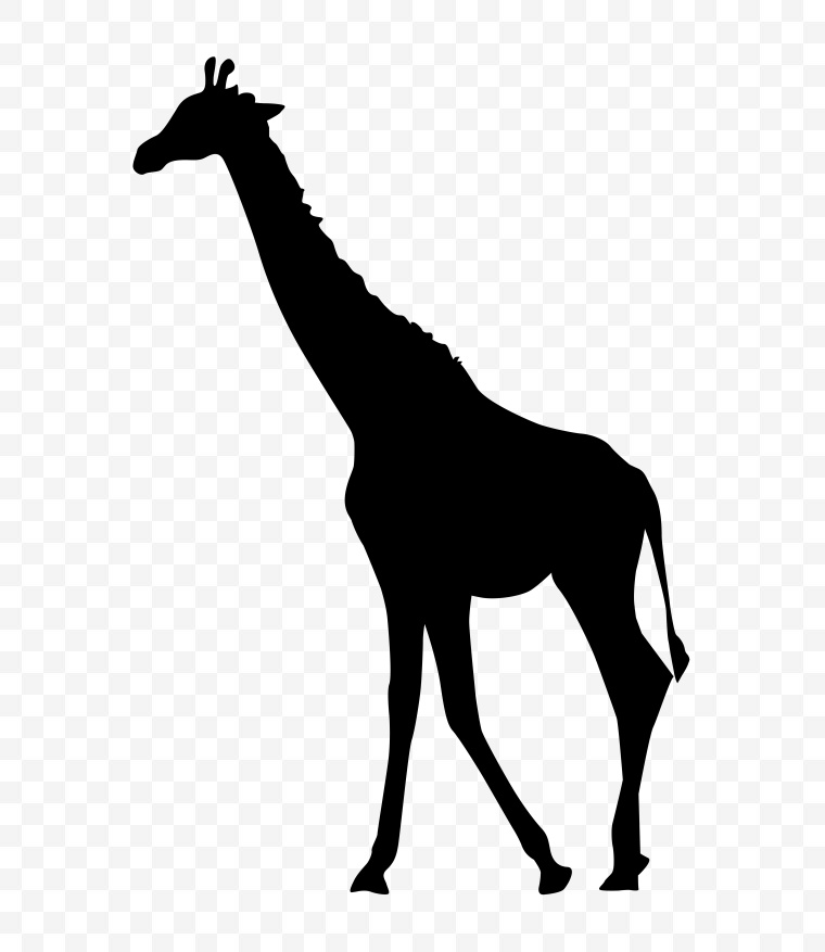 动物剪影 剪影 动物 长颈鹿 png 