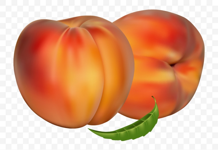 桃子 油桃 果实 水果 png 