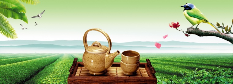 春茶 春茶背景 茶 茶叶 春天 春季 春天背景 春季背景 banner banner背景 背景 背景图 底图 