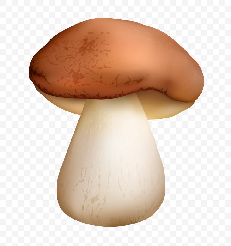 蘑菇 野蘑菇 卡通蘑菇 香菇 png 