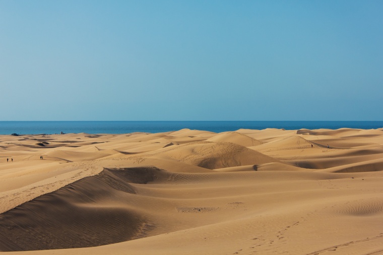 沙漠 沙 沙漠背景 沙丘 加那利群岛 