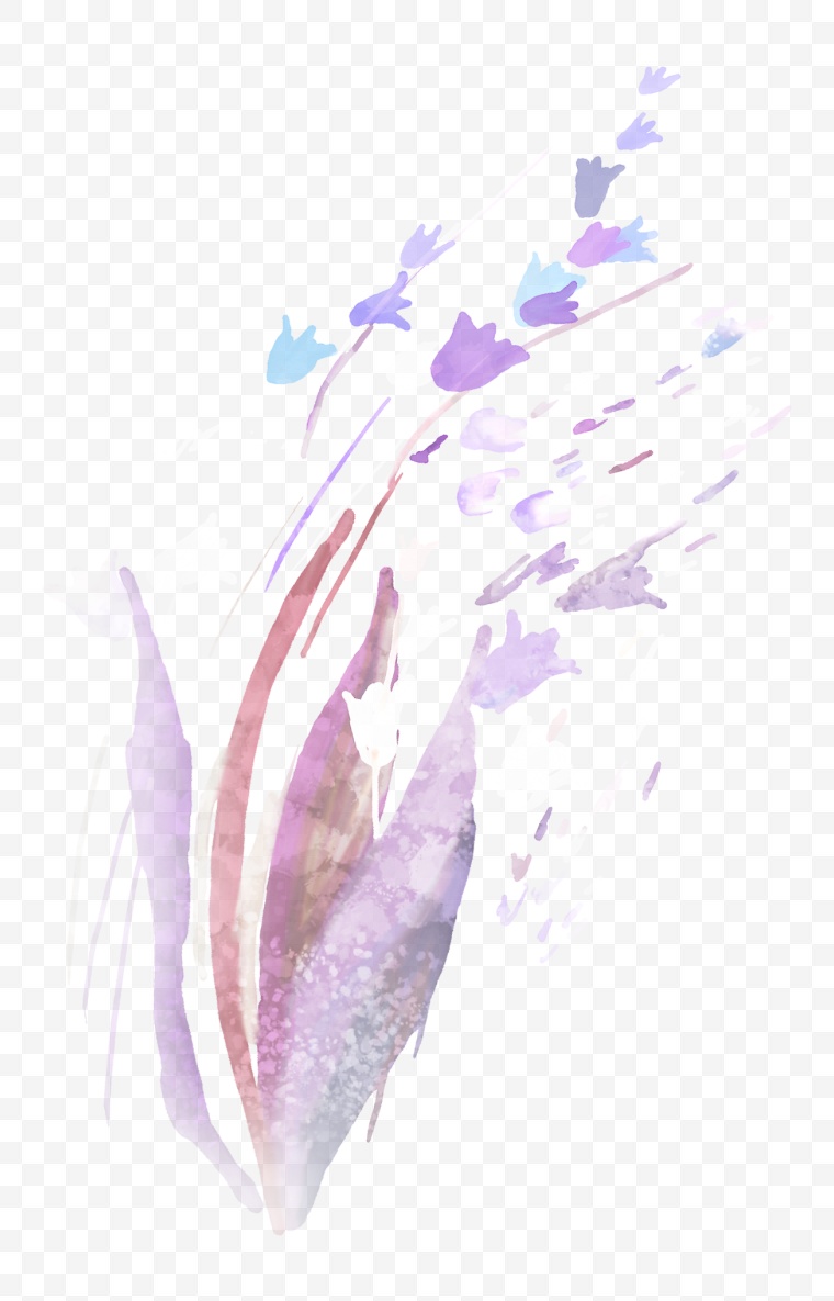 花 花朵 水彩花 水彩 手绘花 png 