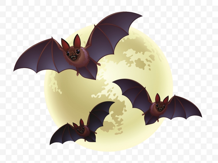 万圣节 万圣节标志 万圣节装饰 蝙蝠 吸血蝙蝠 png 