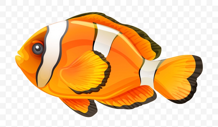 鱼 小鱼 卡通鱼 海洋生物 生物 动物 海底 尼莫 png 