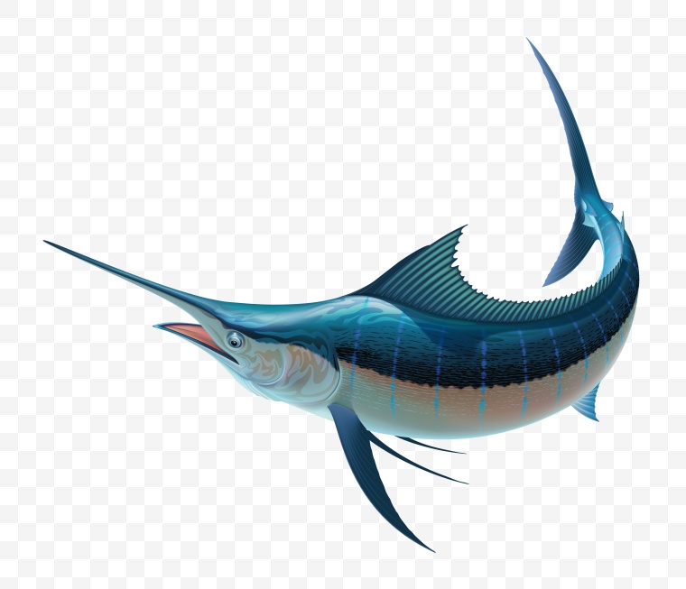 鱼 鲨鱼 卡通鱼 海洋生物 生物 动物 海底 png 