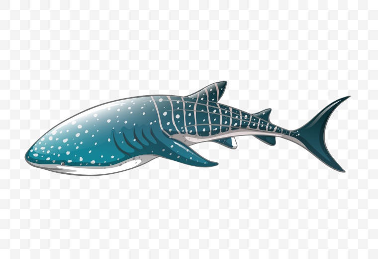 鱼 鲸鱼 卡通鱼 海洋生物 生物 动物 海底 png 