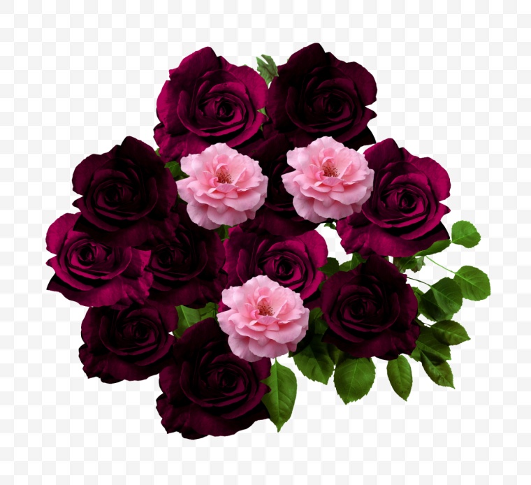 玫瑰花 爱情 花 花朵 浪漫 唯美 情人节 情人节玫瑰花 玫瑰 png 