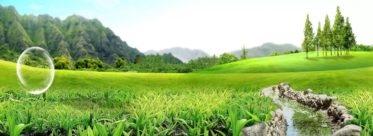 草地 草 草地背景 绿地 绿色 春天 春季 自然 大自然 草坪 