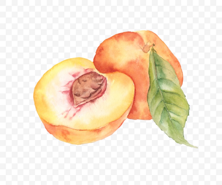 桃子 油桃 黄桃 果实 水果 png 