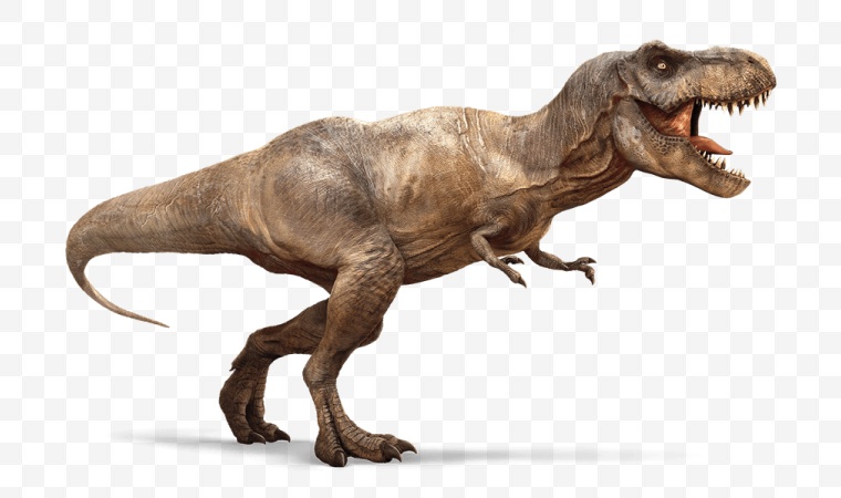 恐龙 动物 侏罗纪 png 