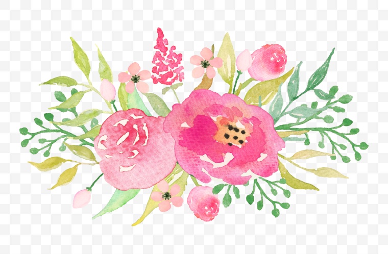 水彩花 手绘水彩花 手绘 水彩 水彩画 手绘水彩画 手绘水彩花卉 插画 花 png 