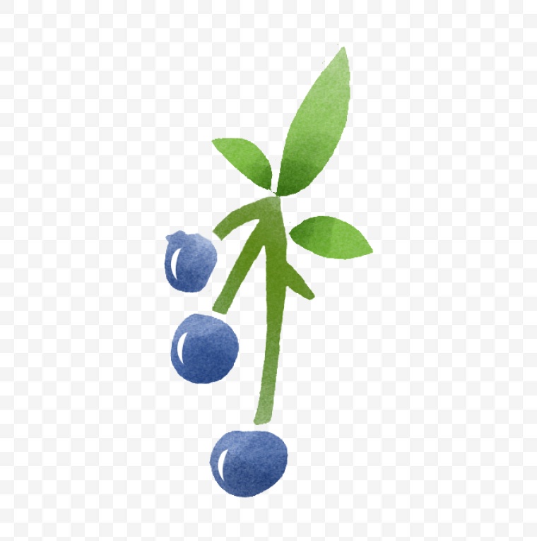 蓝莓 水果 果实 浆果 png 