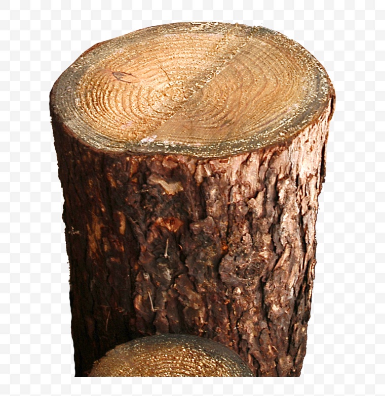 木桩 木 木头 木墩 