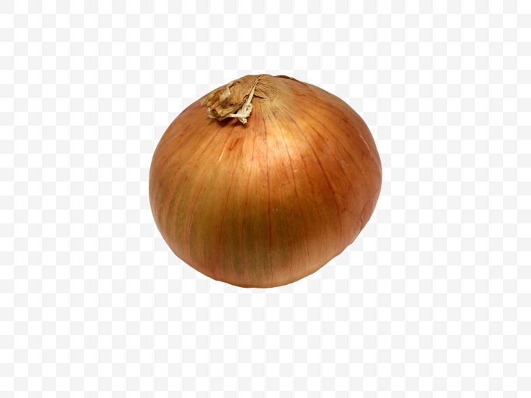 蔬菜 菜 洋葱 png 