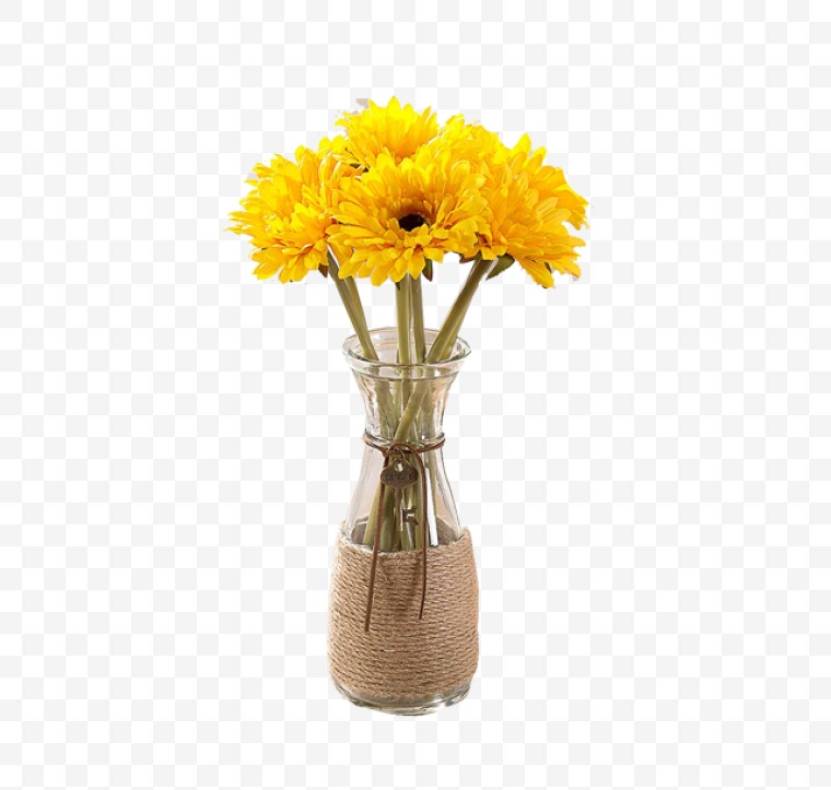 花 花瓶 花朵 鲜花 小清新 非洲菊 菊花 png 
