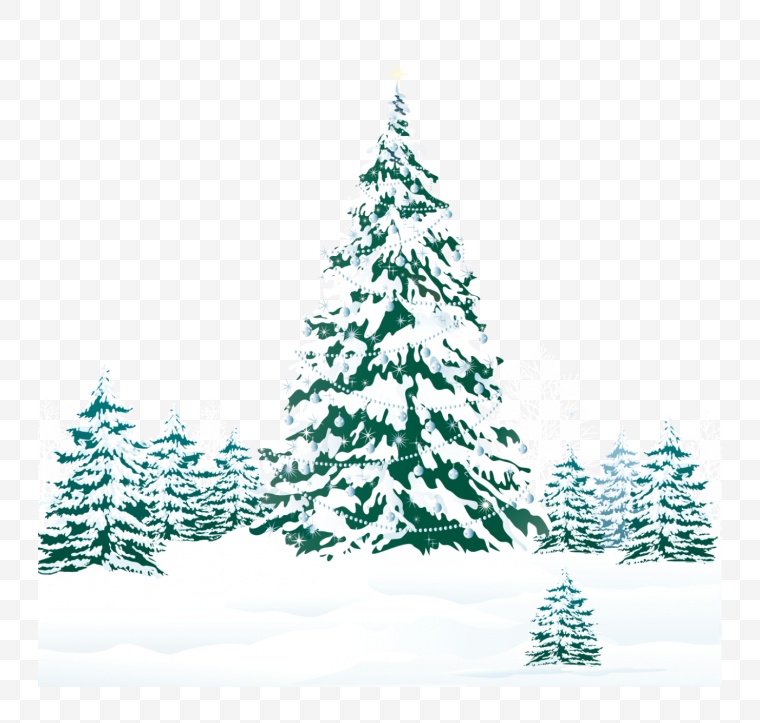 圣诞树 树 雪松 冬天 圣诞 圣诞节 png 