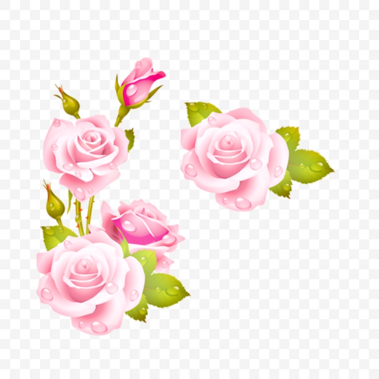 粉色玫瑰花 玫瑰花 粉色玫瑰 花 卡通玫瑰花 