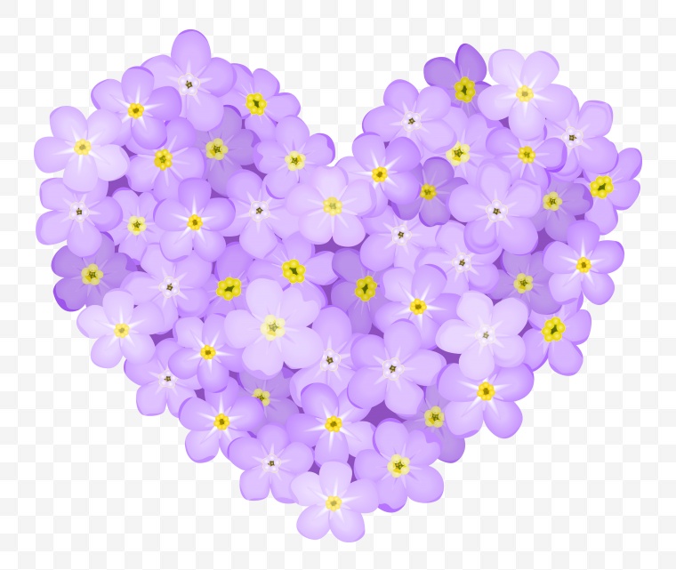 紫色的花 花 心形 
