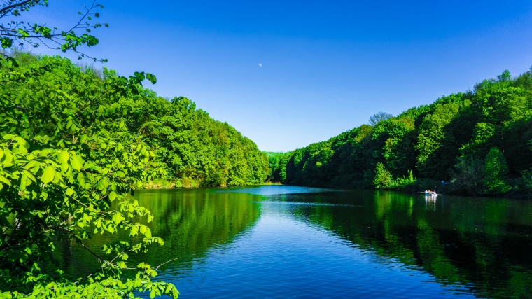 自然风光 自然风景 旅游 旅行 树林 森林 水面 湖面 