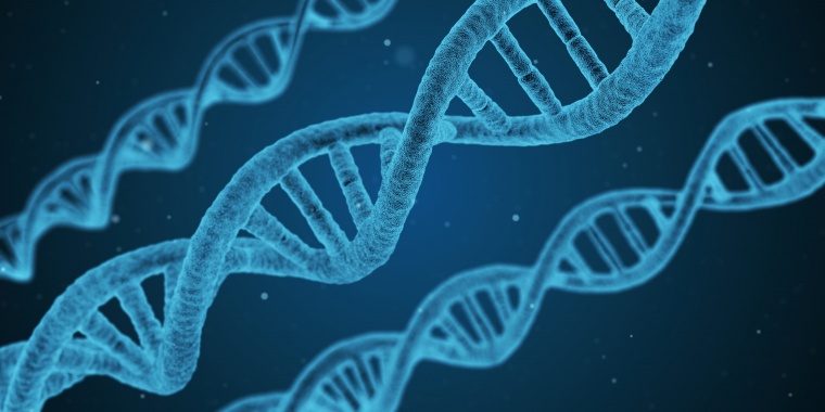DNA 生物学 生物技术 化学 医学 研究 科学 微生物学 遗传学 