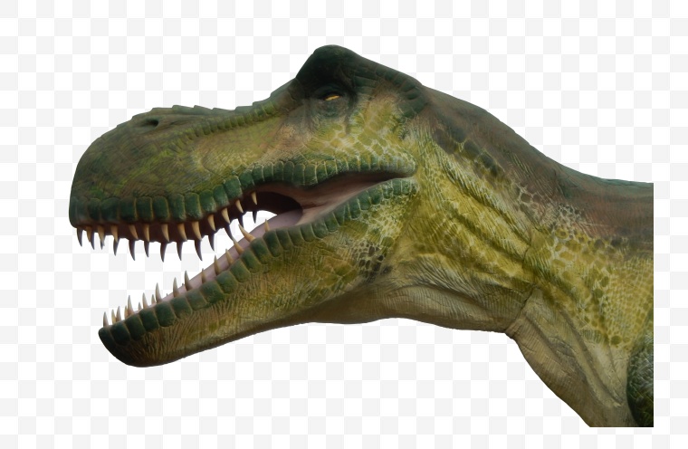 恐龙 原始恐龙 原始动物 恐龙头 
