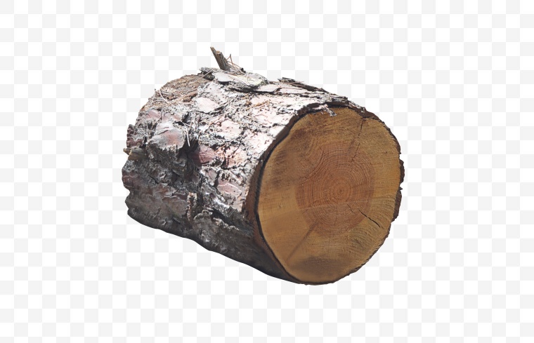 木头 木桩 木墩 
