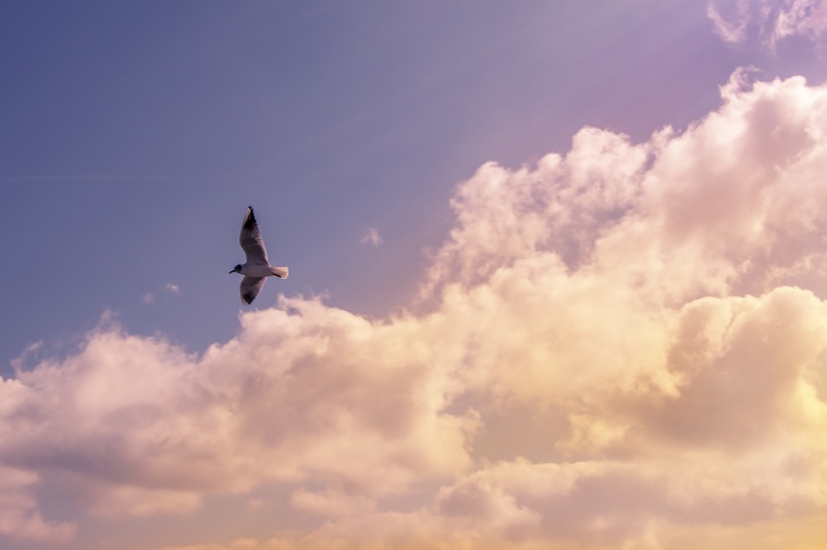 唯美天空背景 天空 唯美背景 云彩 云 