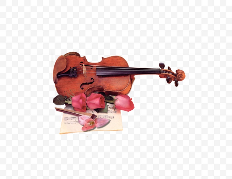 小提琴 乐器 音乐 