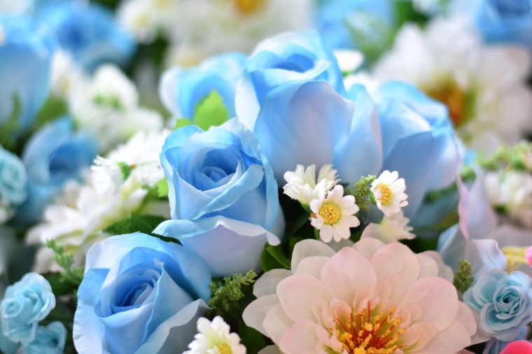 蓝色玫瑰花 唯美背景 小清新背景 