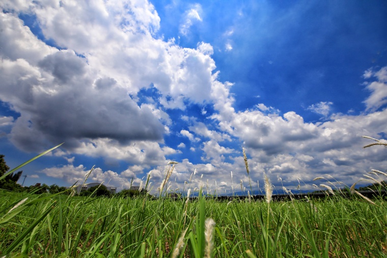 自然风景 草地 绿地 农场 农业 草坪 农田 蓝天白云 白云 云 天空 