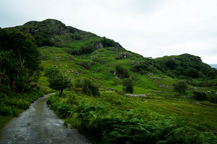 山丘 丘陵 小山峰 自然风景 