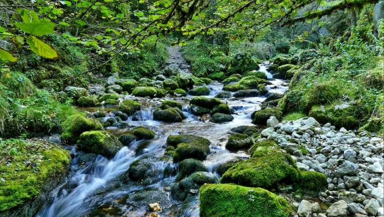 河流 小河 流水 自然风景 自然风光 小溪 