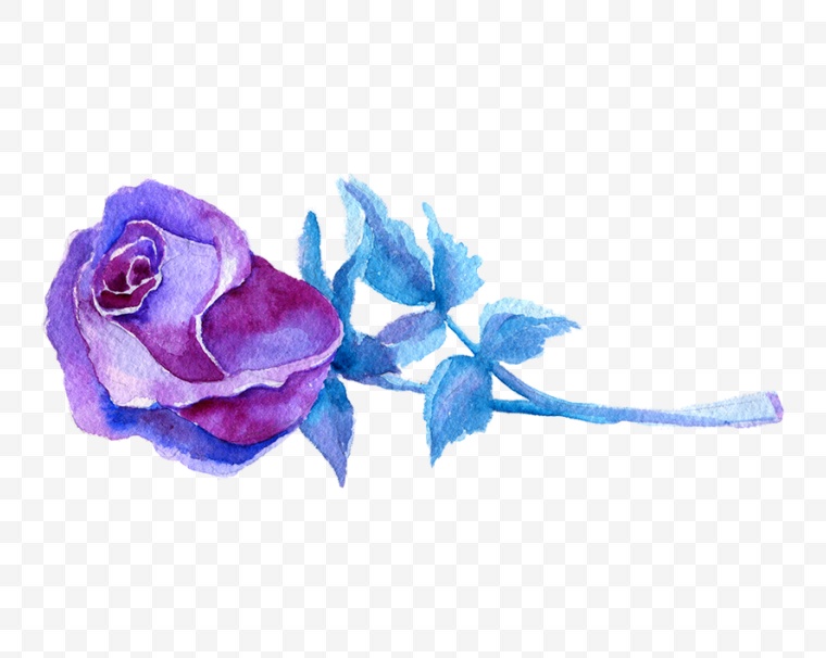 水彩玫瑰花 水彩 玫瑰花 情人节 花 七夕情人节 蓝色玫瑰花 蓝玫瑰 