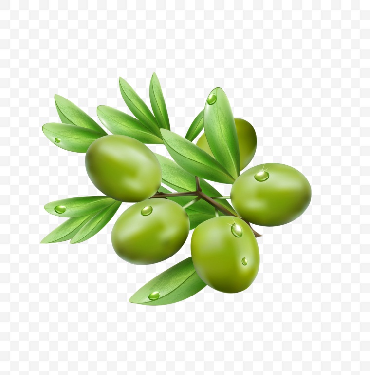 橄榄果 橄榄 橄榄油 食物 