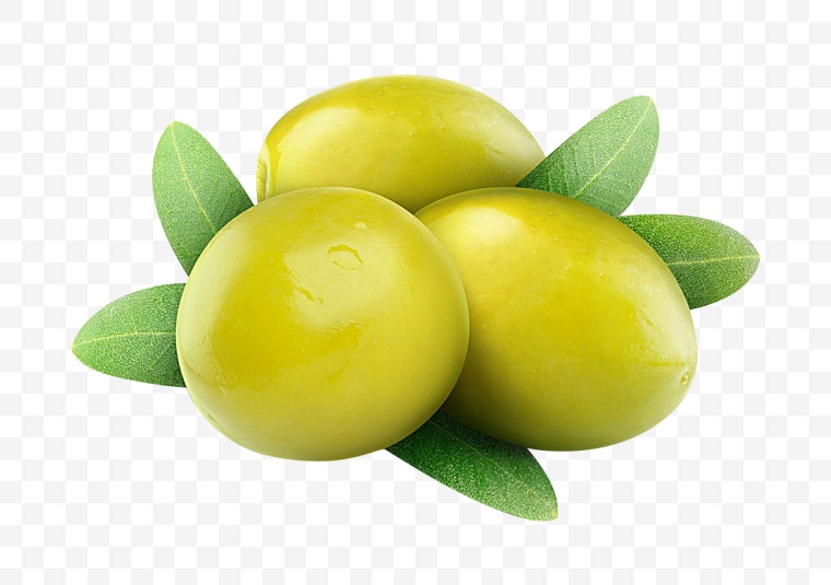 橄榄果 橄榄 橄榄油 食物 