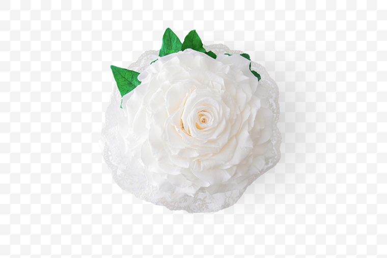 新娘花球 花 白色的花 白花 