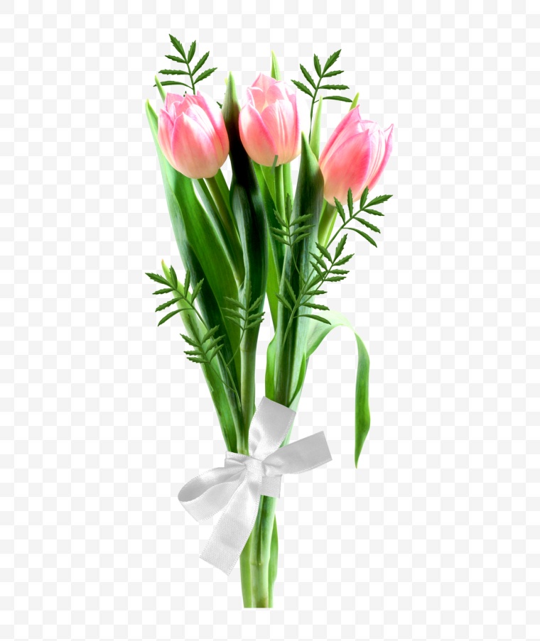 粉色的花 花 花朵 唯美 浪漫 38女王节 38妇女节 母亲节 