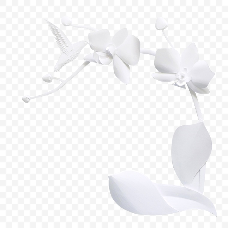 白色的花 花 花朵 唯美 浪漫 春天 春季 春 春季焕新 剪纸花 