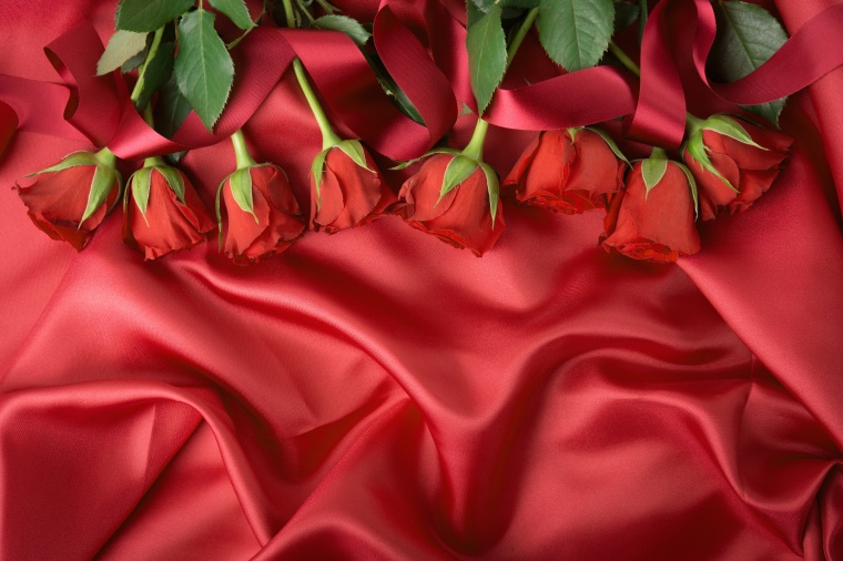 红色玫瑰花 红玫瑰 玫瑰花 玫瑰 花 情人节 爱情 浪漫 七夕情人节 母亲节 女王节 女神节背景 红色背景 红色的花 