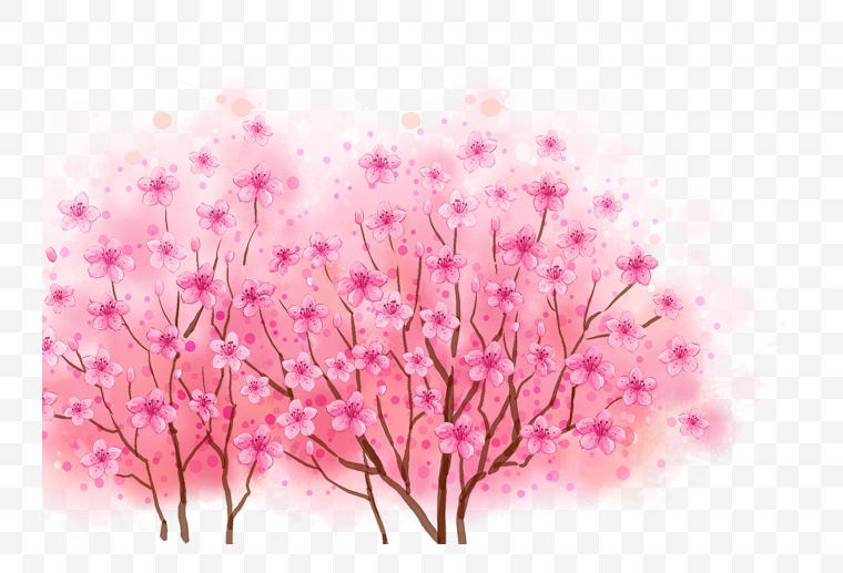 粉色的花 花 花朵 唯美 浪漫 春天 春季 春 