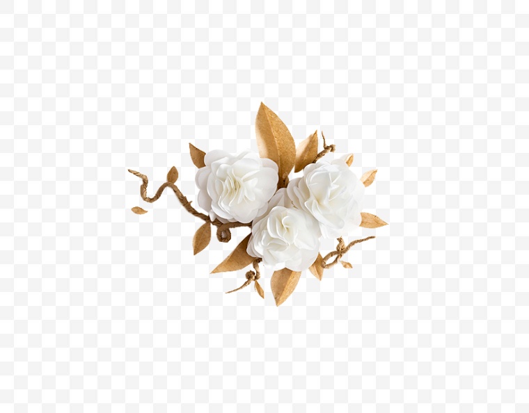 白色的花 花 小清新的花 唯美的花 