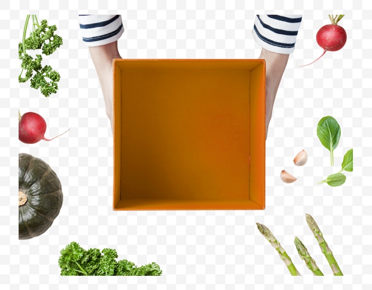 果蔬 蔬菜 菜 绿色蔬菜 送货 纸盒子 盒子 空盒子 