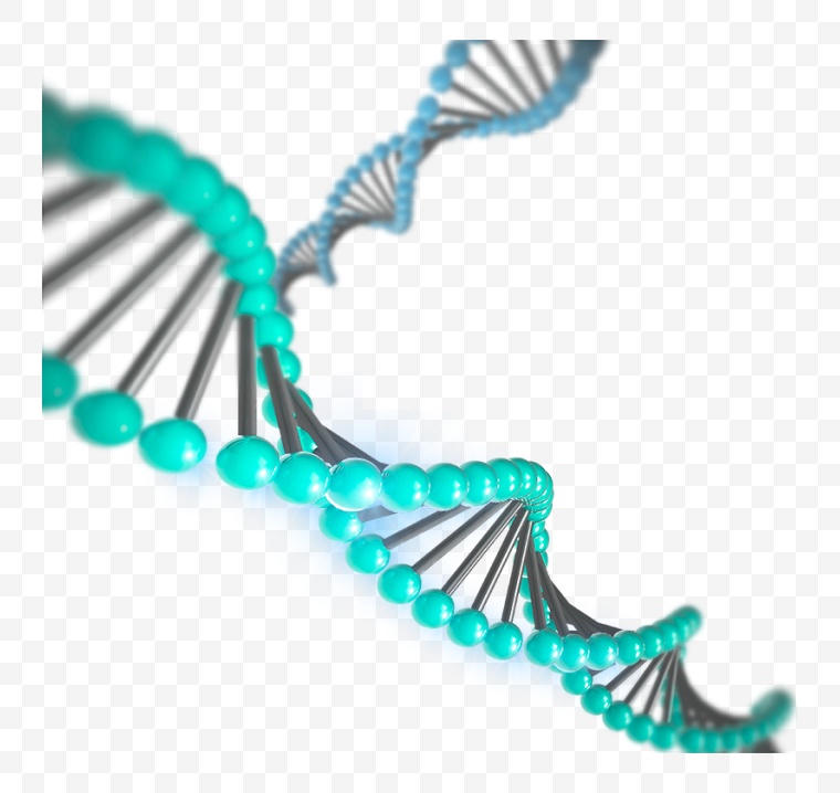 DNA 生物元素 生物链 医学 医疗 