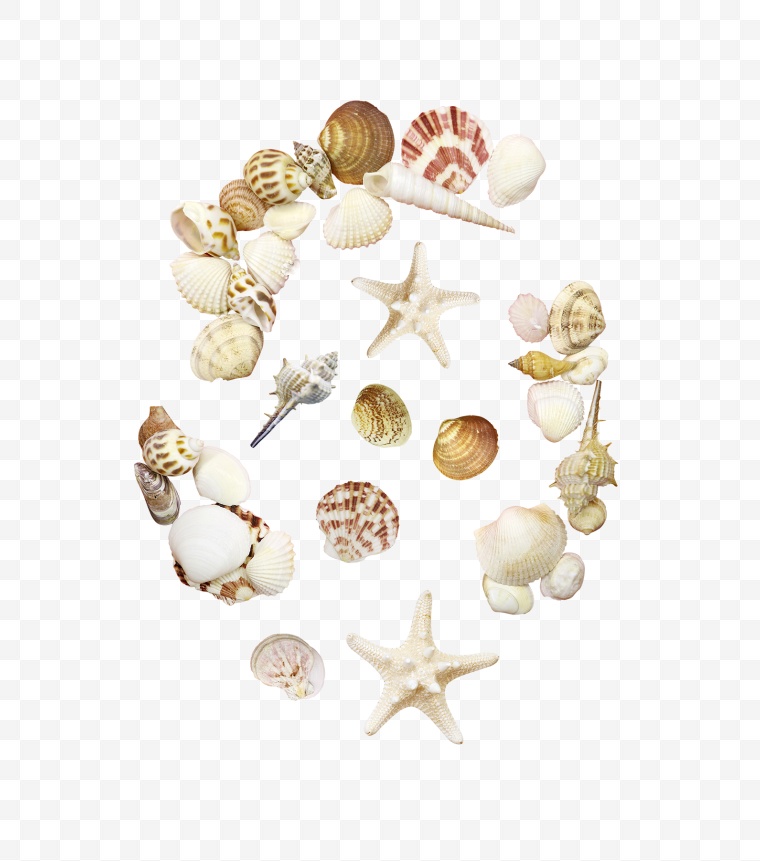 海滩 沙滩 海边 夏天 夏季 夏日 海星 夏 海螺 贝壳 