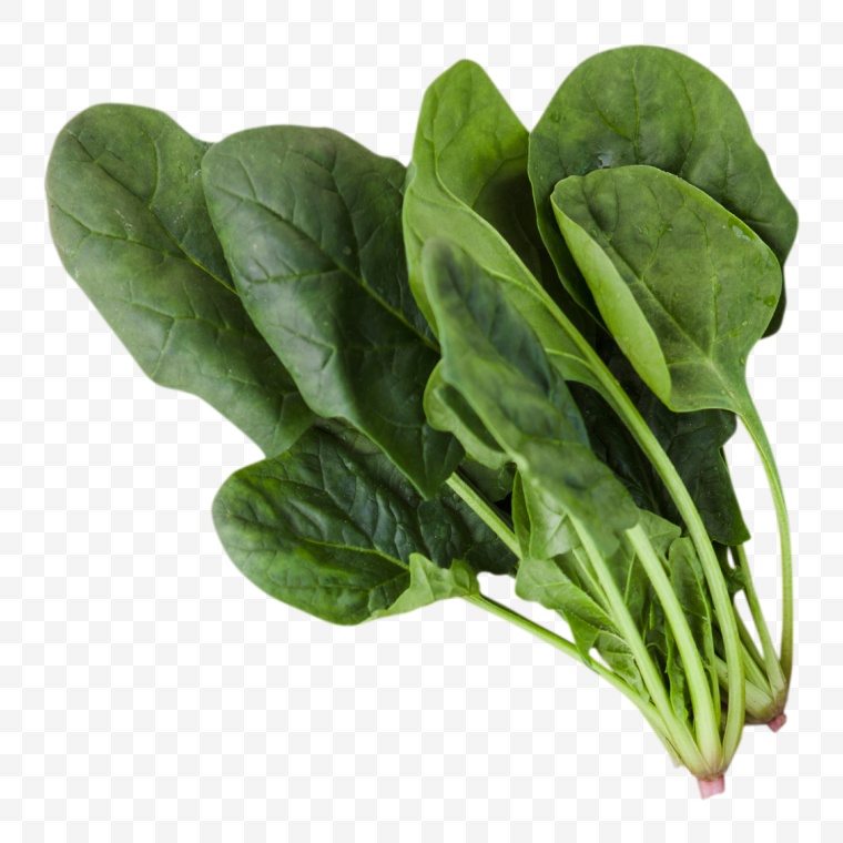 菠菜 绿色蔬菜 绿叶蔬菜 蔬菜 菜 有机蔬菜 食物 食品 