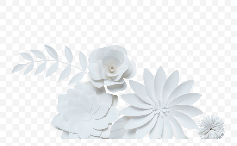 剪纸花 婚庆 婚礼 结婚 白色的花 漂亮的花 花 