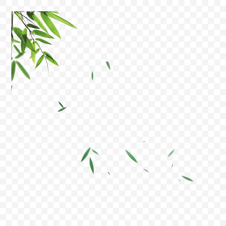 竹叶飘落 飘落竹叶 飘落 竹叶 绿色竹叶 端午节 中国风 古典 古色古香 