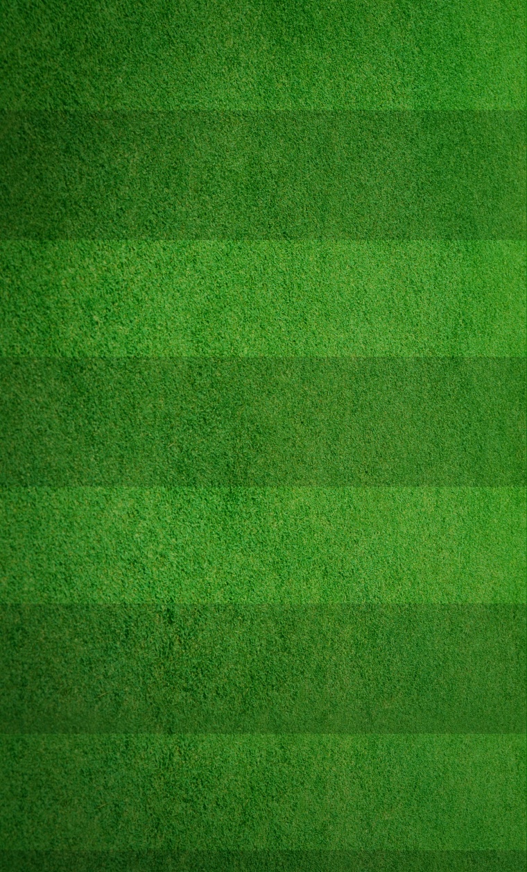 草地 草坪 绿地 绿色草地 足球比赛 世界杯 足球草坪 