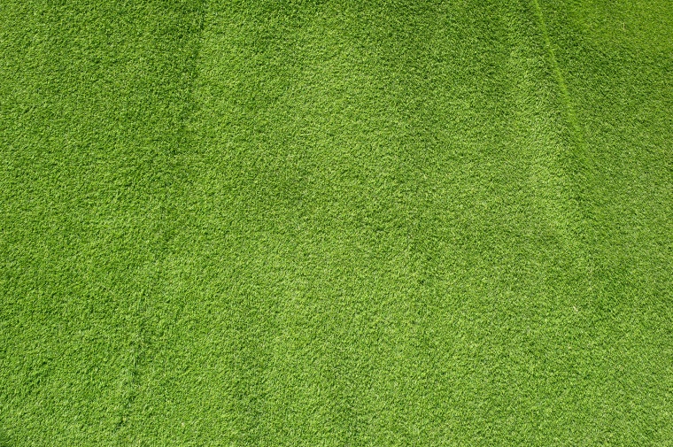 草地 草坪 绿地 绿色草地 足球比赛 世界杯 